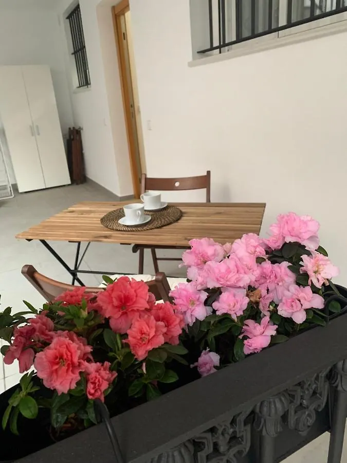 Apartamento Casa Vigon Sanlúcar de Barrameda España